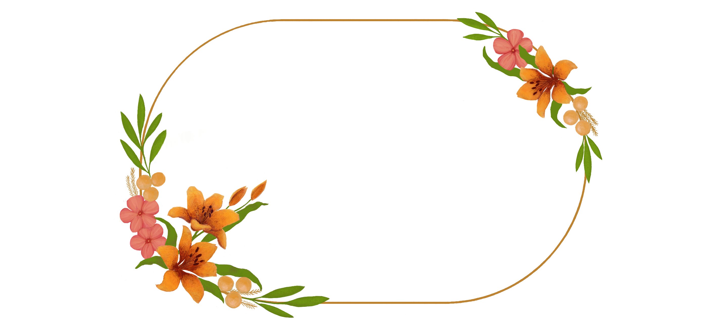 frame image
